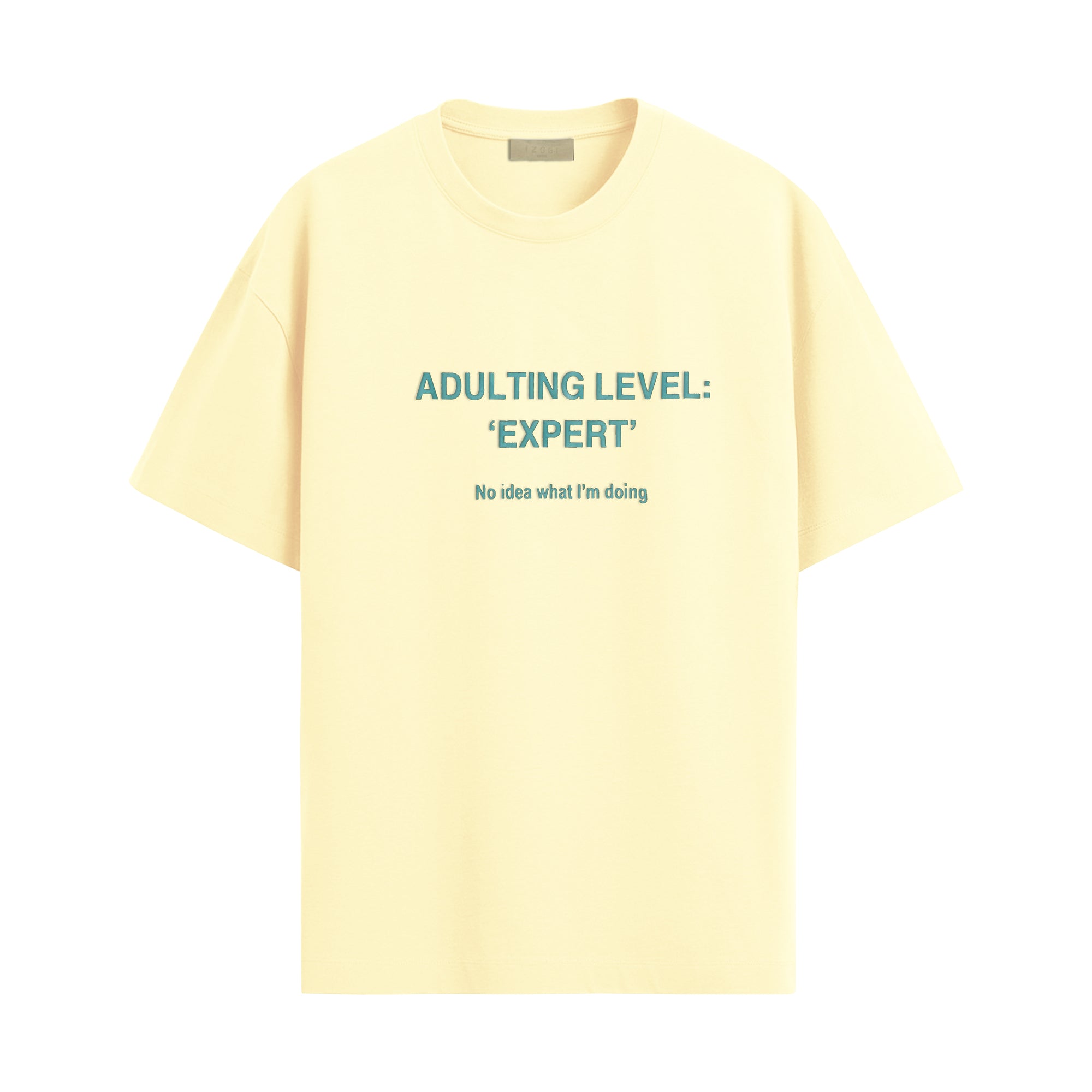 Adulting Level Expert Oversized T-shirt