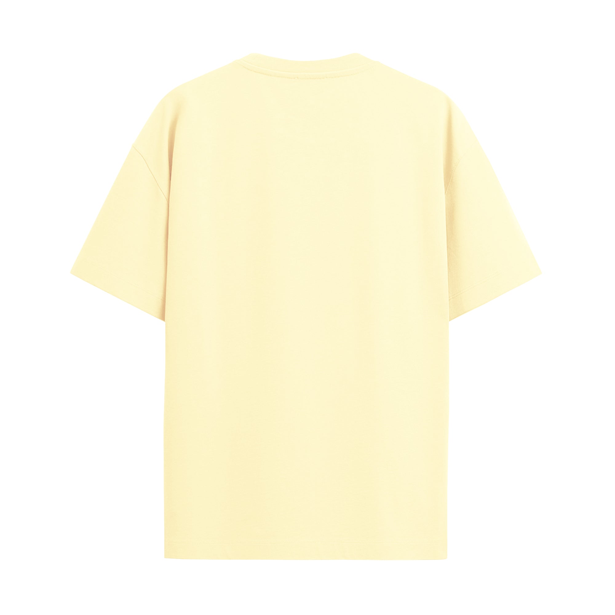 Adulting Level Expert Oversized T-shirt