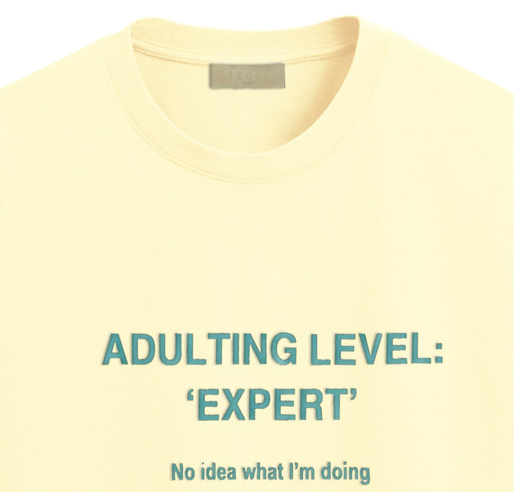 Adulting Level Expert Oversized T-shirt